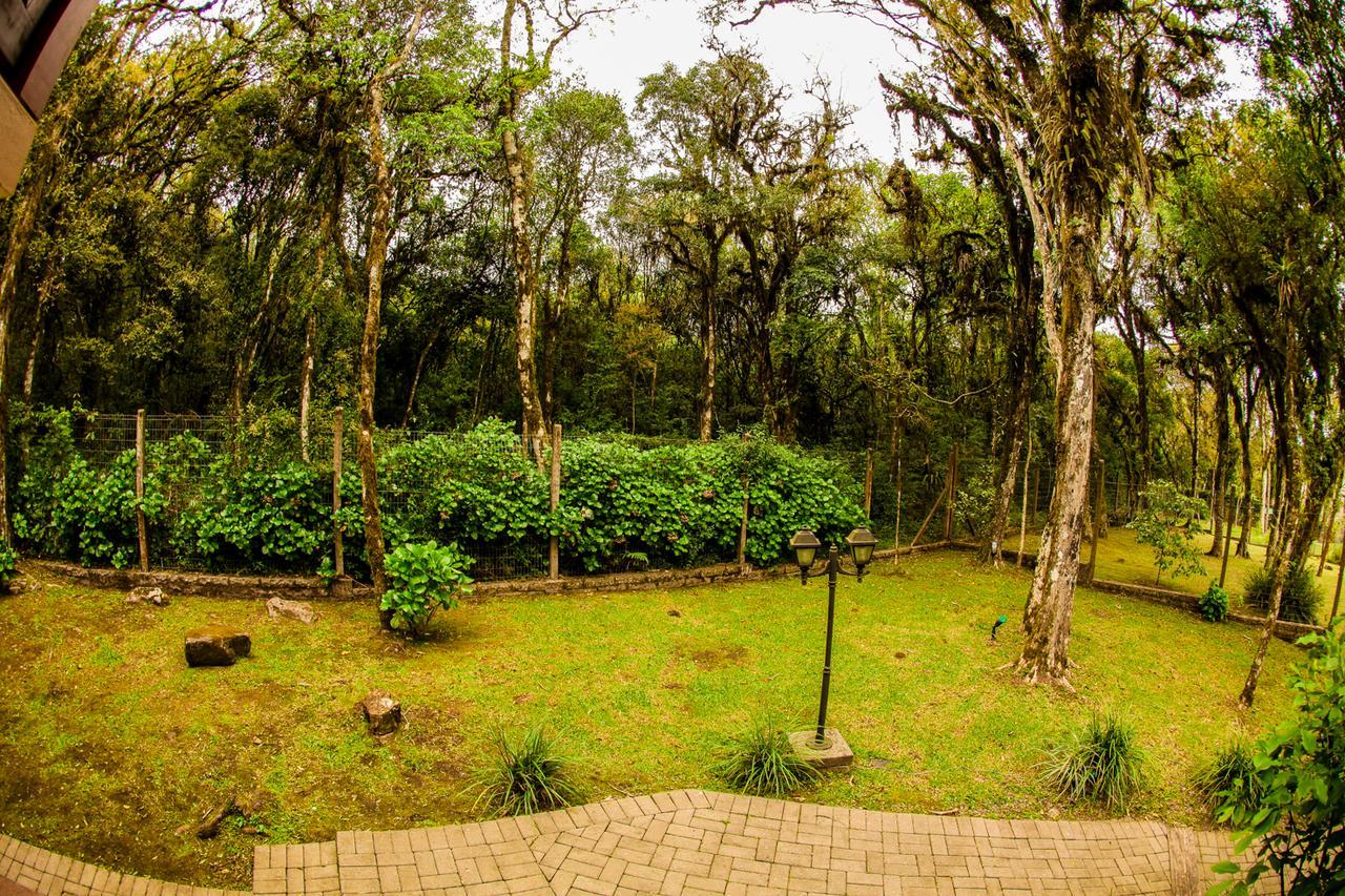 Pousada Das Papoulas Gramado Exterior foto